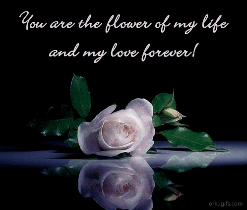 Love Animated Pictures on You Are The Love Of My Life And My Love Forever    Images And E Cards