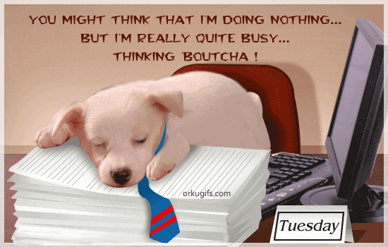 You might think that I'm doing nothing... But I'm really quite busy... Thinking boutcha!