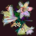 Comments, Graphics - Glitters 