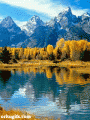 Comments, Graphics - Landscape 