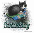 Comments, Graphics - Saturday 