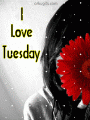 Comments, Graphics - Tuesday 