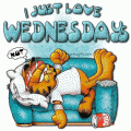 Comments, Graphics - Wednesday 