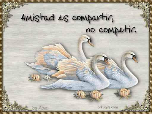 Amistad es compartir, no competir