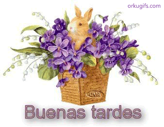 Buenas Tardes - Imágenes para redes sociales