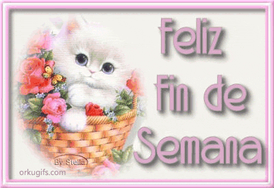 Feliz Fin de Semana