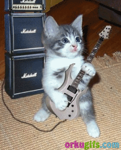 Gatito tocando guitarra
