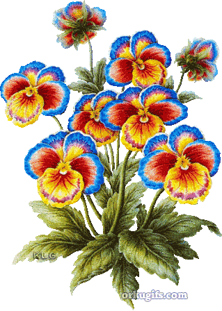 Hermosas Flores - Imágenes para redes sociales((