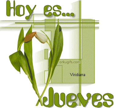 Hoy es Jueves