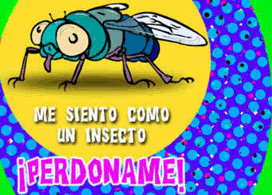 Mi siento como un insecto. Perdóname!