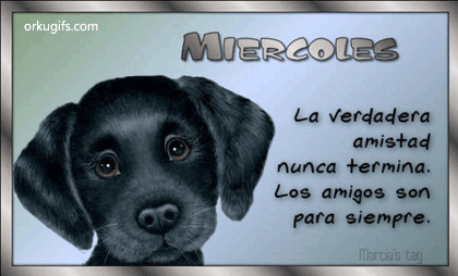 Miércoles

La verdadera 
amistad
nunca termina.
Los amigos son
para siempre