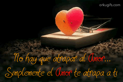 No hay que atrapar el Amor... Simplemente el Amor te atrapa a ti