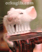 Ratón cepillándose los dientes