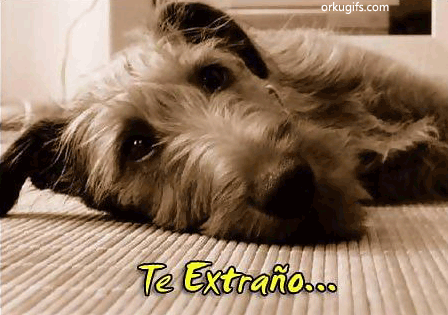 Te extraño