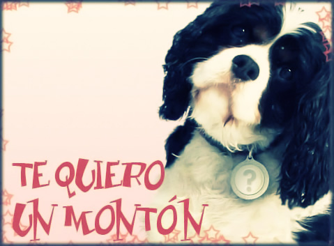 Te quiero un montón