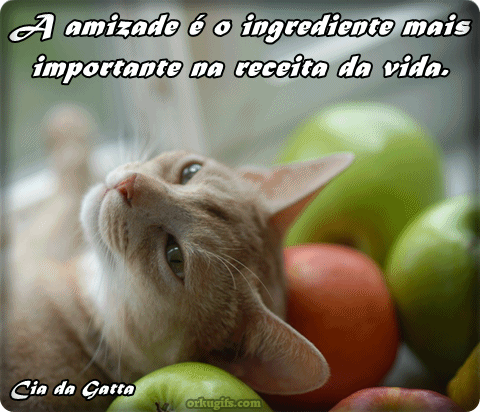 A amizade é o ingrediente mais importante na receita da vida