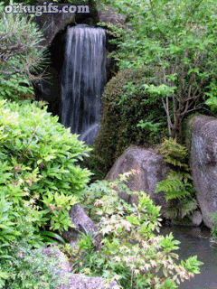 Cachoeira na selva