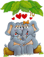 Casal de elefantes
