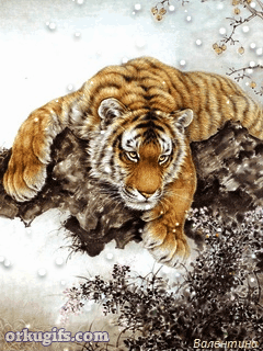 Tigre na neve