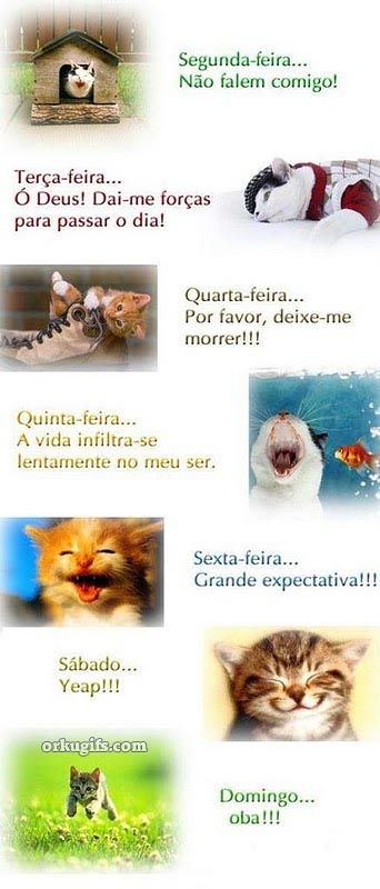 Segunda-feira: Não falem comigo! 

Terça-feira: Ó Deus! Dai-me forças para passar o dia! 

Quarta-feira: Por favor, deixe-me morrer! 

Quinta-feira: A vida infiltra-se lentamente em meu ser. 

Sexta-feira: Grande expectativa!!! 

Sábado: Yeap! 

Domingo: Oba!!!