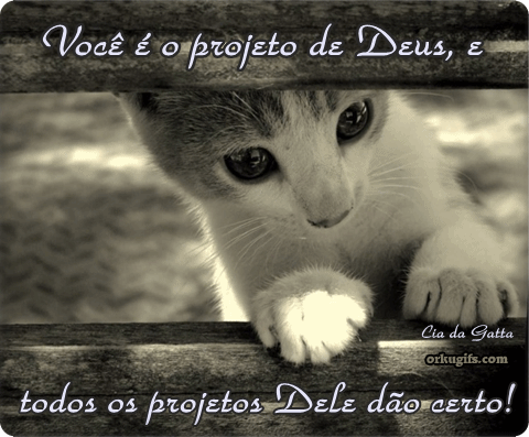 Você é projeto de Deus, e todos os projetos Dele dão certo! - Recados e Imagens para orkut, facebook, tumblr e hi5