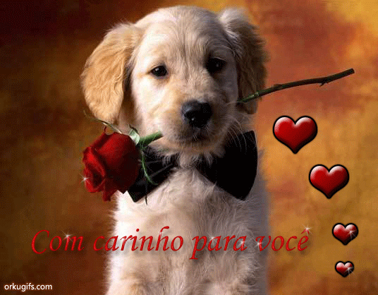 Com carinho para você - Recados e Imagens para orkut, facebook, tumblr e hi5
