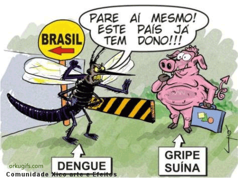 Dengue VS Gripe Suína
