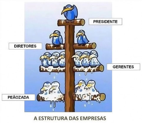 Estrutura das empresas