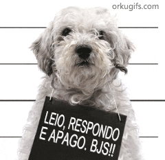 Leio, Respondo e apago. Bjs!