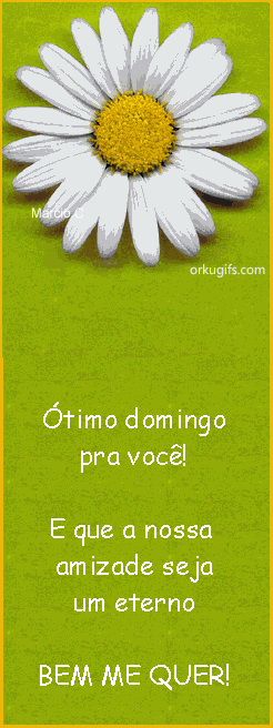 otimo-domingo-pra-voce%21-e-que-nossa-am
