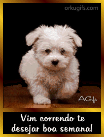 vim-correndo-te-desejar-boa-semana%21_41