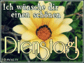 Bilder und Grafiken zu Dienstag