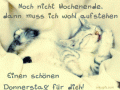 Bilder und Grafiken zu Donnerstag