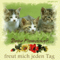 Bilder und Grafiken zu Freundschaft