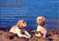 Bilder und Grafiken zu Freundschaft