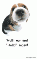 Bilder und Grafiken zu Hallo