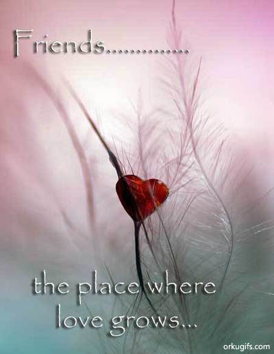 Friends... The place where love grows
