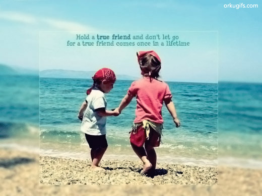 Hold a true friend and don't let go for a true friend comes once in a lifetime