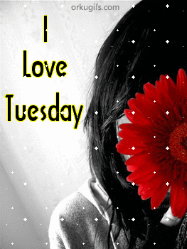 I love Tuesday