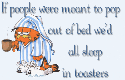 If people were meant to pop out of the bed we'd all sleep in toasters