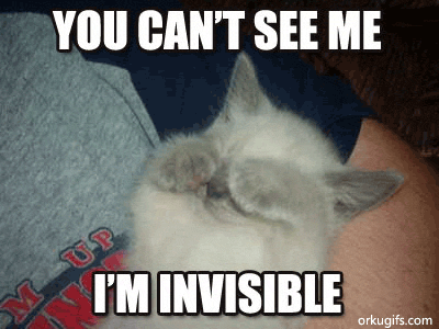 You can't see me. I'm invisible