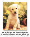 Comments, Graphics - Happiness 