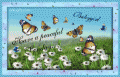 Comments, Graphics - Sunday 