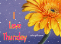 Comments, Graphics - Thursday 