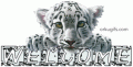 Comments, Graphics - Welcome 