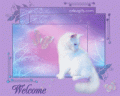 Comments, Graphics - Welcome 
