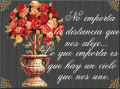 imágenes y comentarios de Amistad 