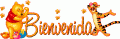 imágenes y comentarios de Bienvenidos 
