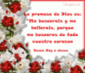 imágenes y comentarios de Religioso 
