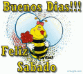 imágenes y comentarios de Sabado 